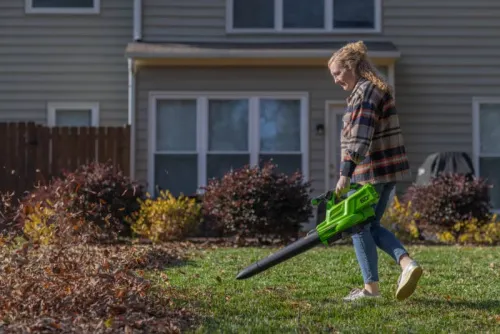 Воздуходувка-пылесос Greenworks GD60BVII 60V 2409307 (368 км/ч) бесщеточная аккумуляторная — детальное фото