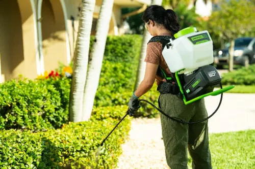 Садовый опрыскиватель Greenworks GW-BPS60 60V 5300107 аккумуляторный — детальное фото