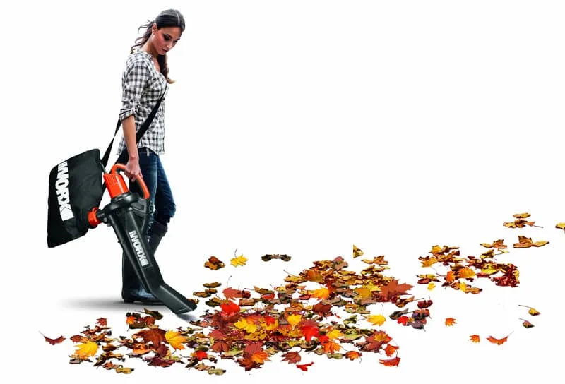 Воздуходувка-садовый пылесос WORX WG505E 220V 3000Вт 335км/ч электрическая — детальное фото